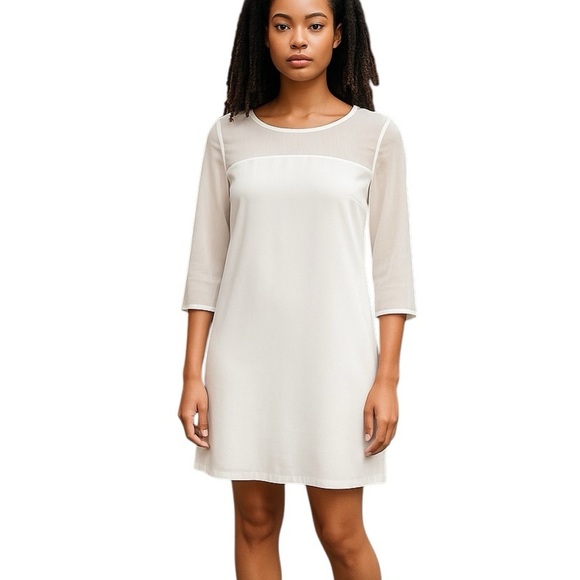 ZARA Basic White Sheer Panel Shift Dress | Size Small Mini - Picture 1 of 14